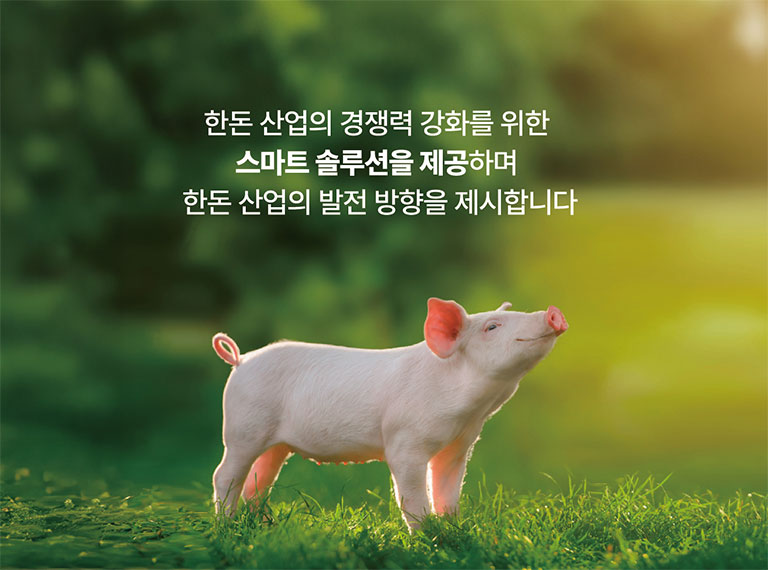 ѵ   ȭ  Ʈ ַ ϸ ѵ    մϴ